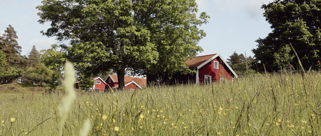 Svensk sommaräng med röda trähus och blommande ängsblommor, miljöerna där svenskt bivax har sitt ursprung